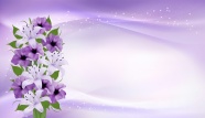 母亲节紫色鲜花背景图片