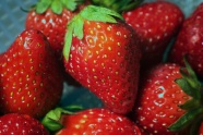 诱人红草莓近景特写图片