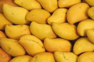 金黄色芒果图片