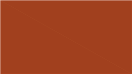 流畅动画商业计划书PPT模板