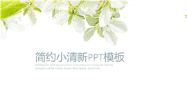 简约小清新花朵企业商务PPT模板