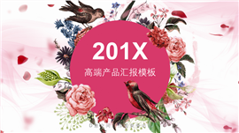 201X高端产品汇报PPT模板