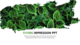 小清新绿色环保画册PPT模板