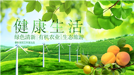 绿色生态旅游有机农业商务报告PPT模板