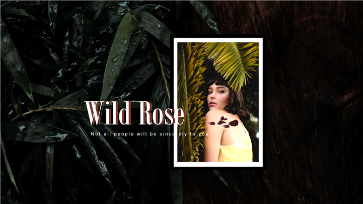 欧美风莫兰迪风尚PPT模板