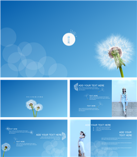 蓝色蒲公英岗位竞聘求职简历PPT模板