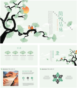 清新简约总结计划PPT模板