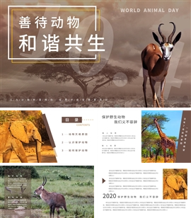 保护动物世界动物日PPT模板