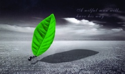 蚂蚁的精神psd源文件