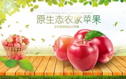 原生态农家苹果宣传海报
