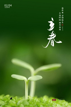 立春实景节气海报模板