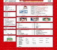 动网新闻.net 新年风格