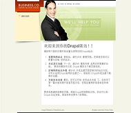 Drupal BusinessSense主题