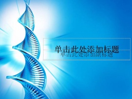 精美背景ppt模板