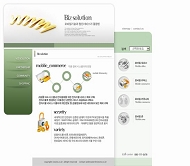 BIZ 简实模板