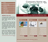 TemplateMonster 公司模板