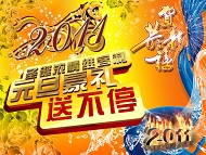 2011元旦海报模板下载