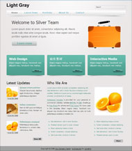 工作商务CSS网页模板