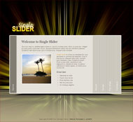 单人滑球CSS网页模板