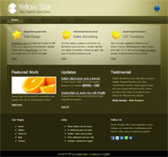 黄色星星CSS网页模板