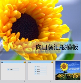 向日葵ppt模板下载