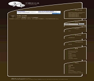 Wordpress Premium模板