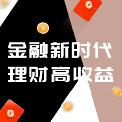 金融新时代网站侧边栏广告