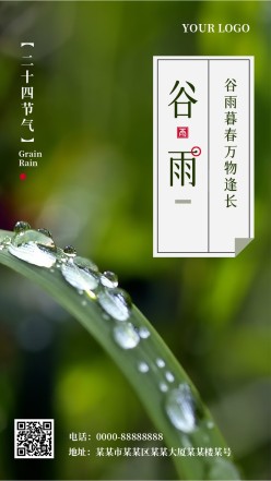 谷雨节气绿色手机海报