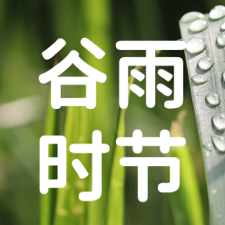 绿色简约谷雨公众号次图