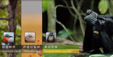 jQuery手风琴图片轮播切换