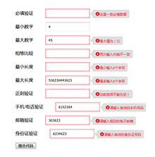 verJs表单验证提示插件