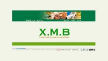 xmb.biz