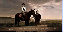 和泓半山地产酷站欣赏