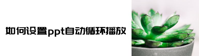 如何设置PPT自动循环播放？