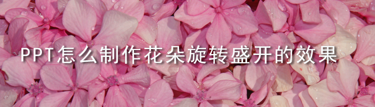 ppt怎么制作花朵旋转盛开的效果