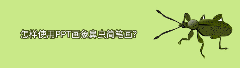 怎样使用PPT画象鼻虫简笔画？