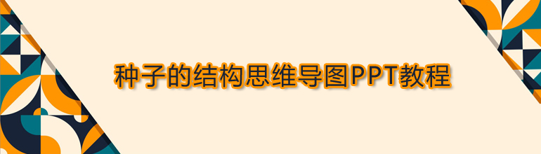 种子的结构思维导图PPT教程