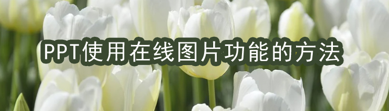 PPT使用在线图片功能的方法