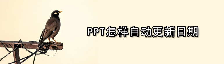PPT怎样自动更新日期教程