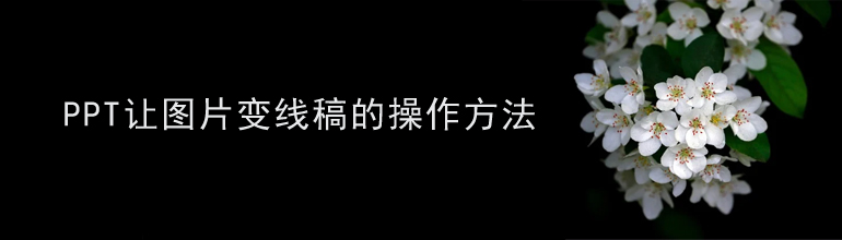 PPT让图片变线稿的操作方法