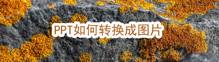 PPT如何转换成图片