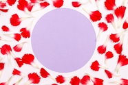圆形红色花卉边框图片