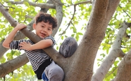 小男孩爬树图片