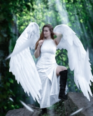 欧美天使造型美女写真图片