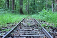 森林铁路公园风景图片