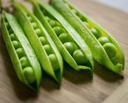 绿色新鲜豌豆图片