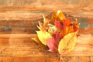 木板上的一堆秋天树叶图片