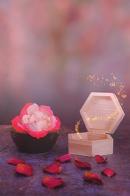 唯美玫瑰花瓣魔法盒图片