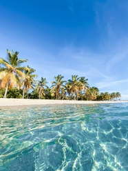 夏日蔚蓝天空海边椰子树风景图片