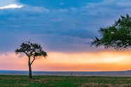 非洲野生动物保护区风景图片